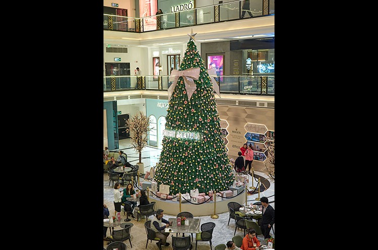 Ridhi Mehra X The Chanakya Christmas Tree